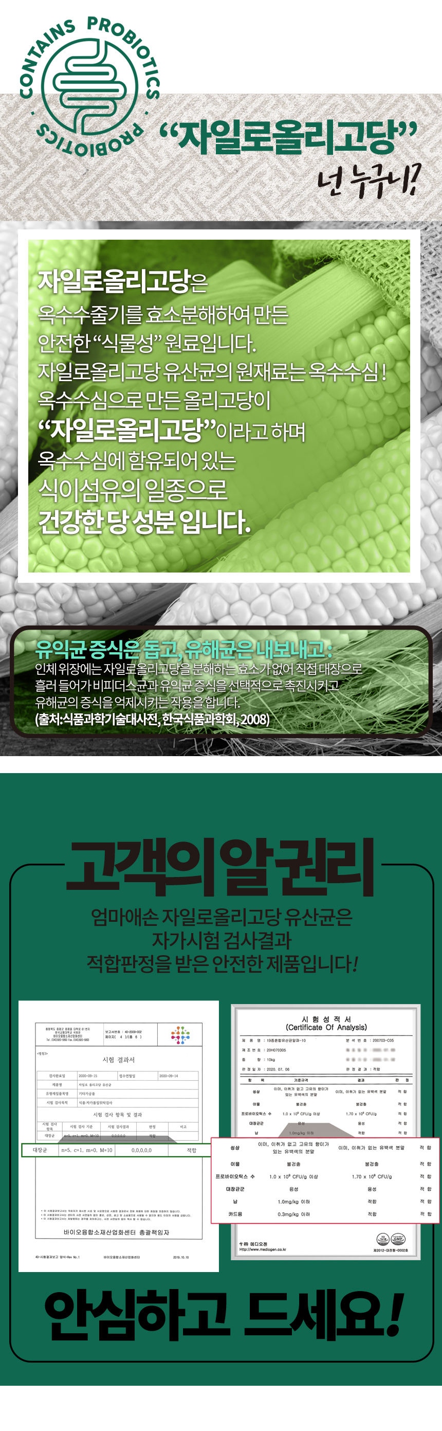 자일로상세2_shop1_170521.jpg