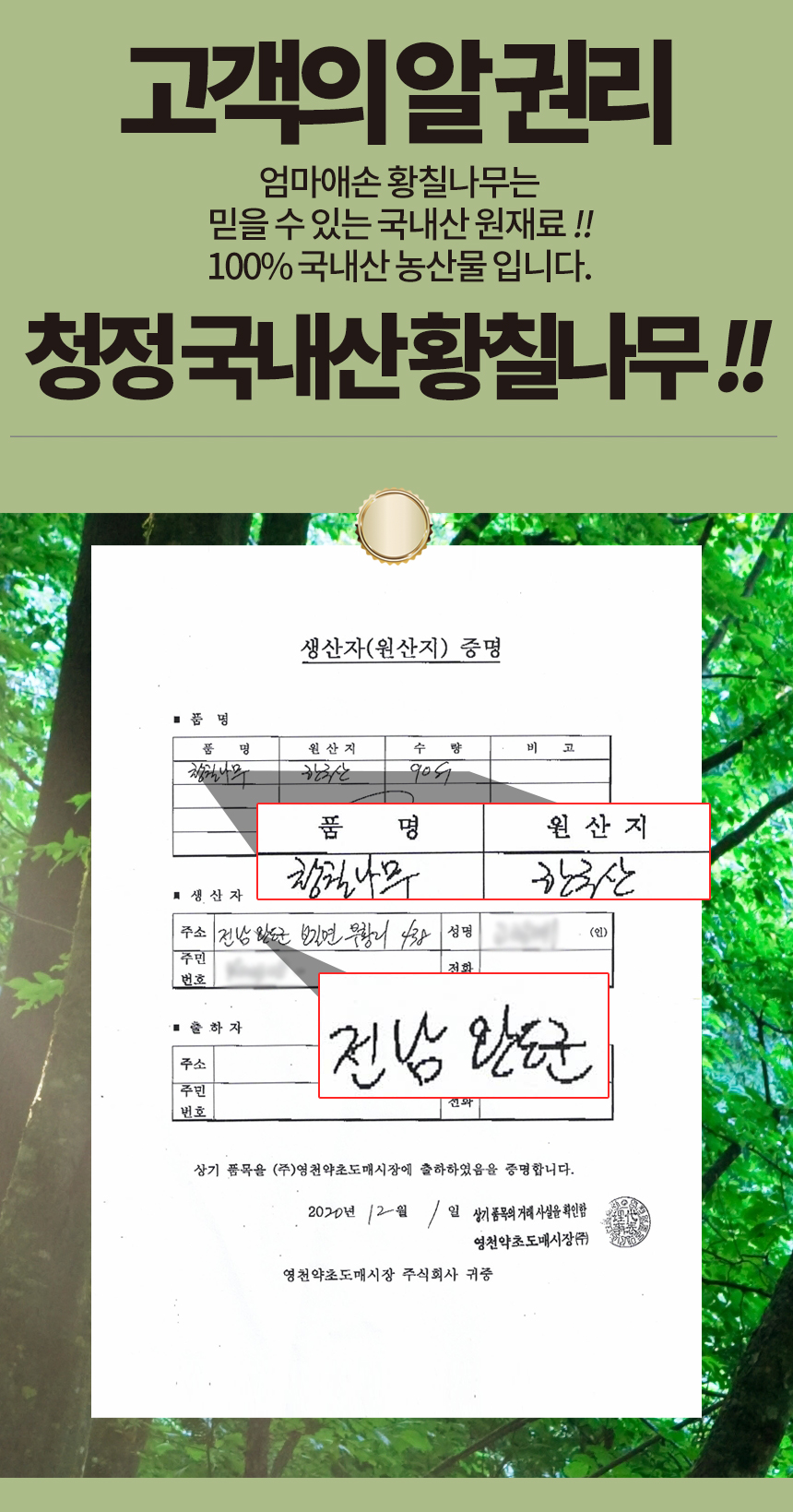 엄마애손_황칠나무_04_shop1_173931.jpg