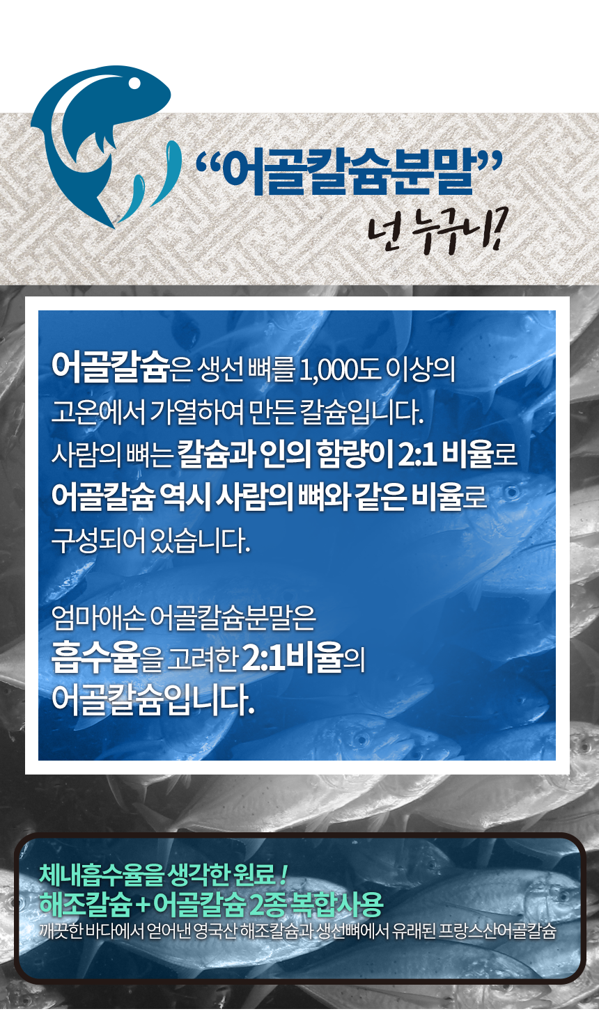 어골상세3_shop1_143536.png