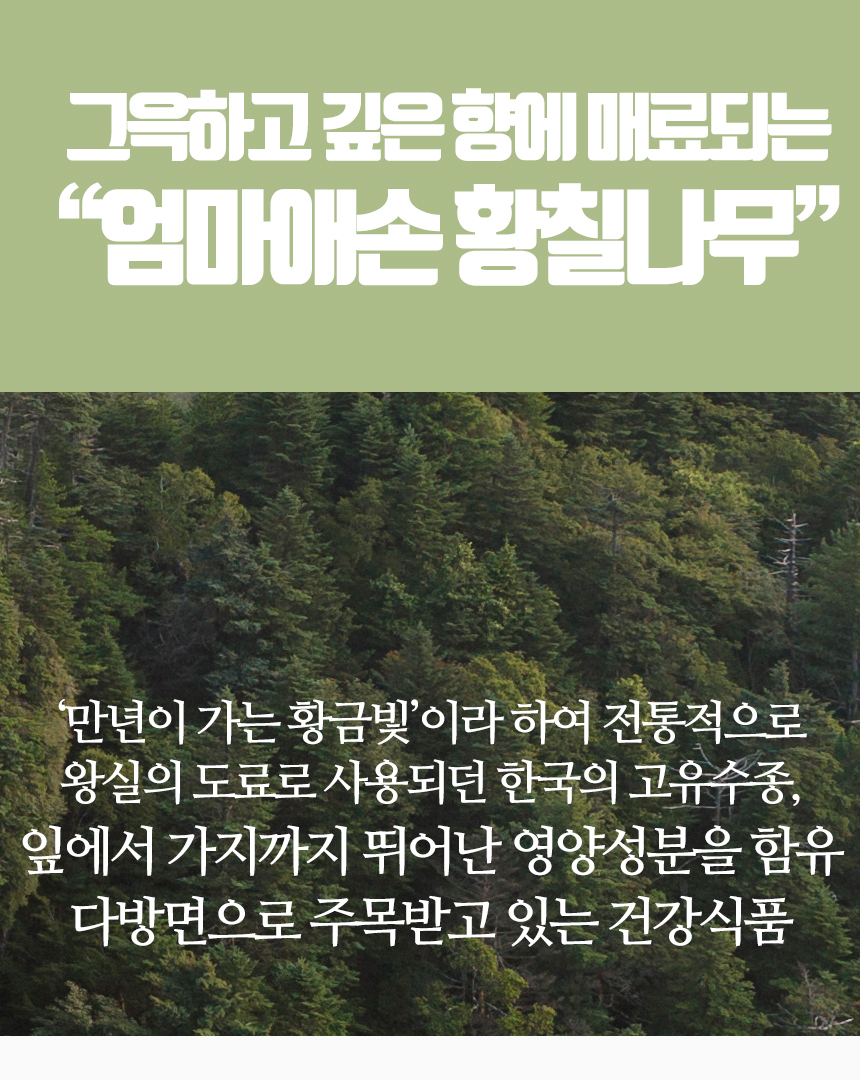 엄마애손_황칠나무_05_shop1_173932.jpg