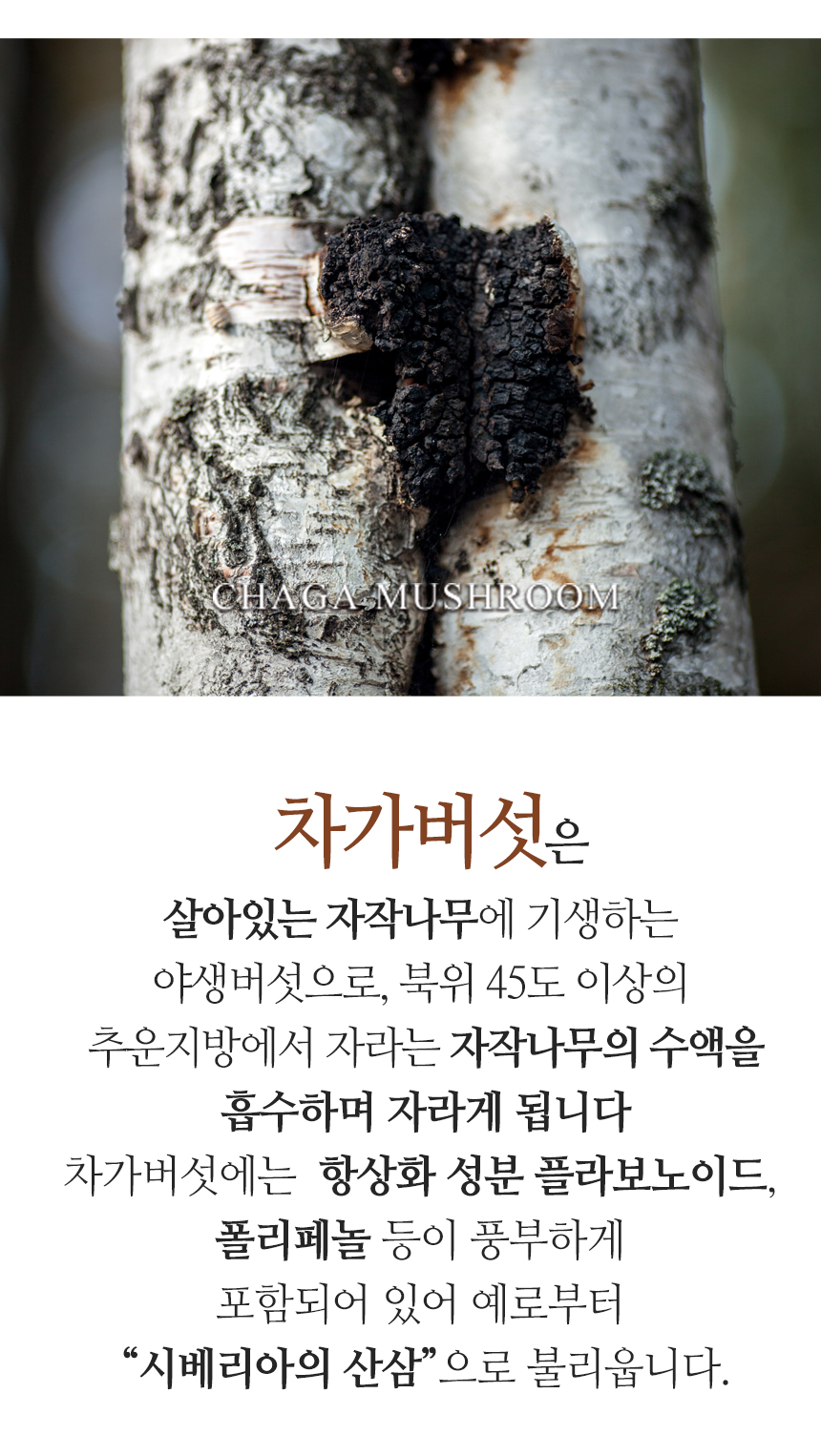 엄마애손_차가버섯분말_03_shop1_172211.jpg