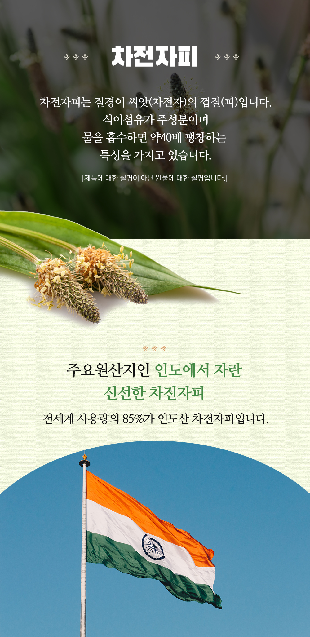 엄마애손_차전자피 (2)_shop1_173656.jpg