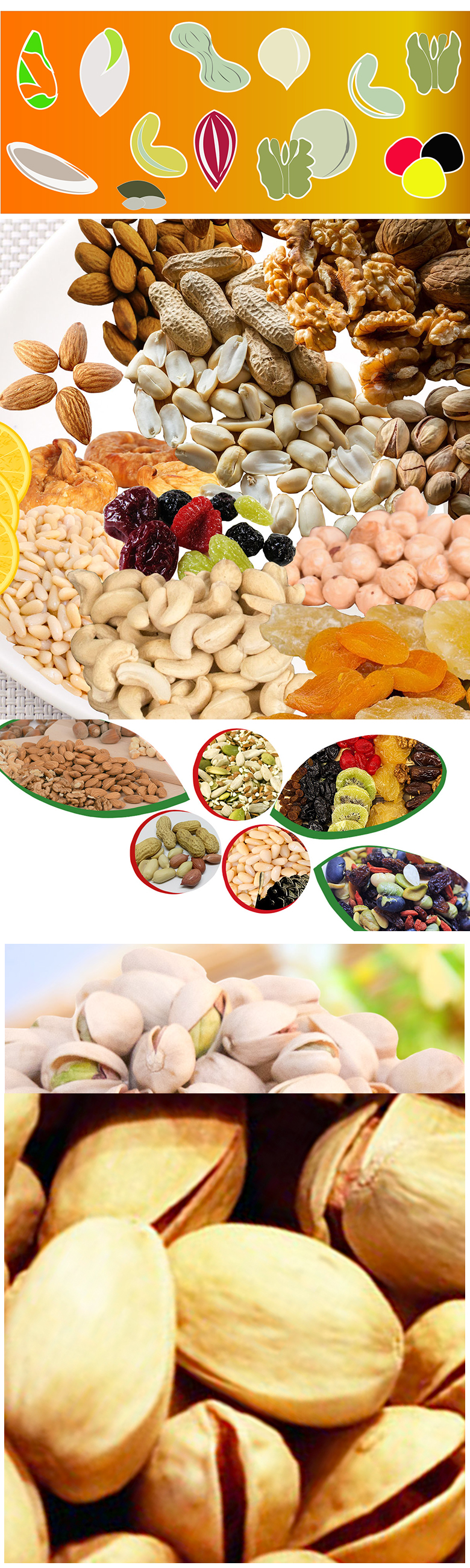 pistachio_a_ph1T9OBMnlG1yM.jpg