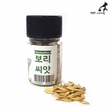 힐링타임 보리씨앗 20g